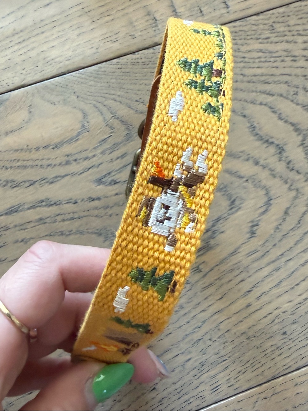 Mutt of Course Embroidered Dog Collar – Mustard Camping Outdoors Leather Trim
